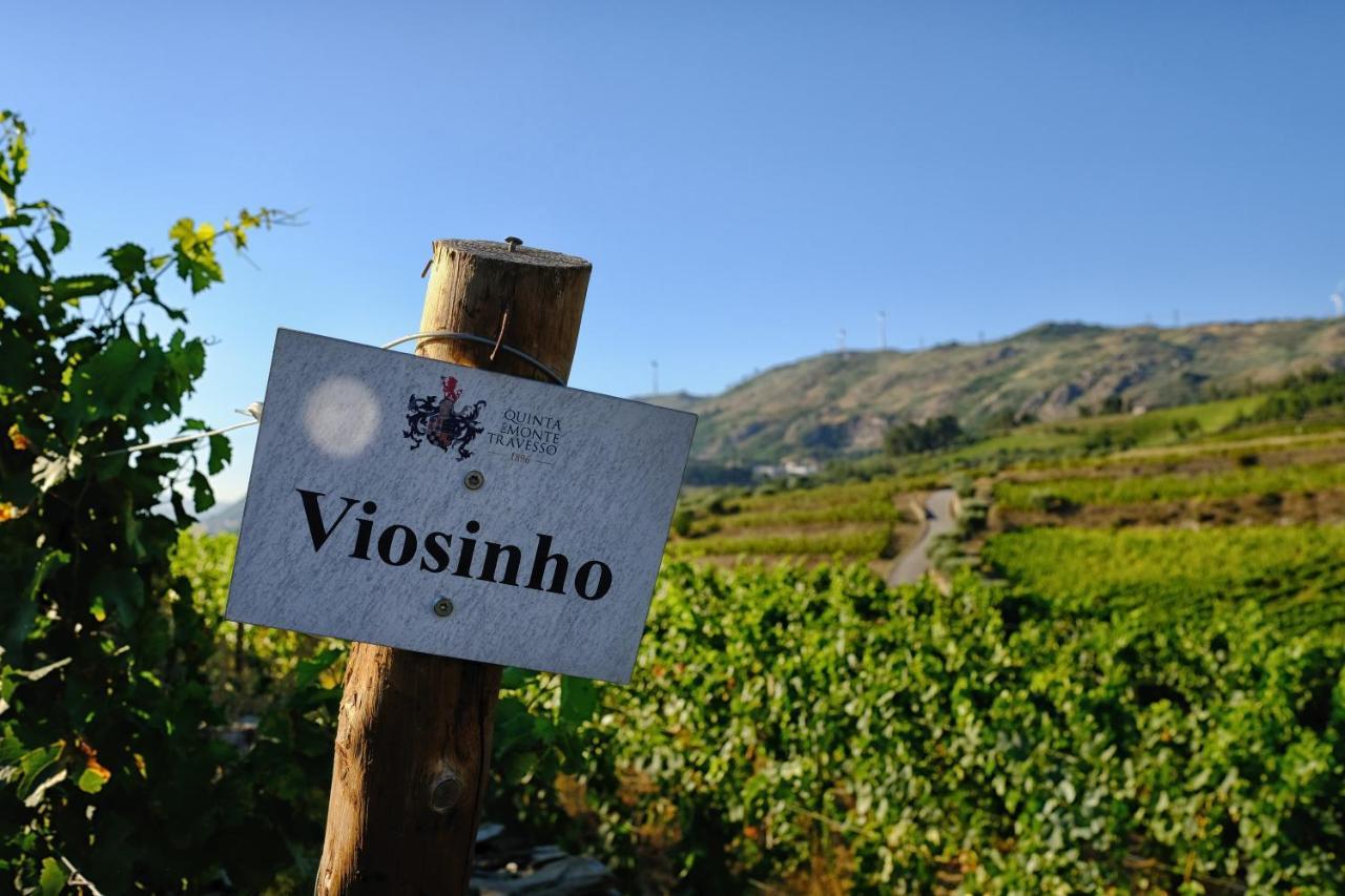 Quinta Do Monte Travesso - Country Houses & Winery Tabuaço Exteriér fotografie